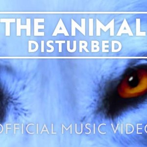 Disturbed - The Animal [Official Music Video]